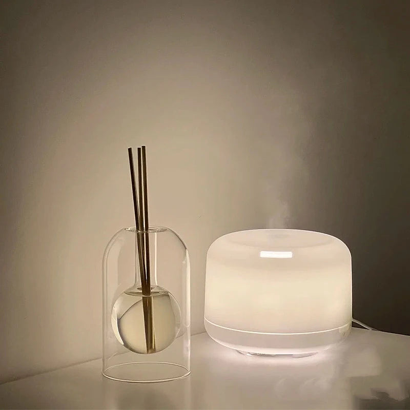 Aromatherapy Diffuser Bottle Glass Essential Oil with Diffusers Sticks Storage Containers Transaprent Modern Home Decorations