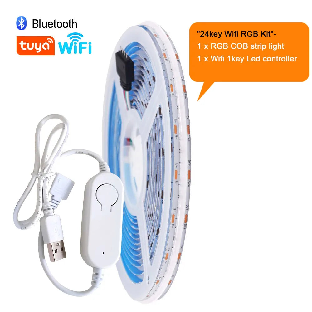 5V Wifi Bluetooth-compatible USB RGB COB LED Strip Light 24key 44key Remote Control Kit 576 LEDs Linear Lighting Flexible Tape