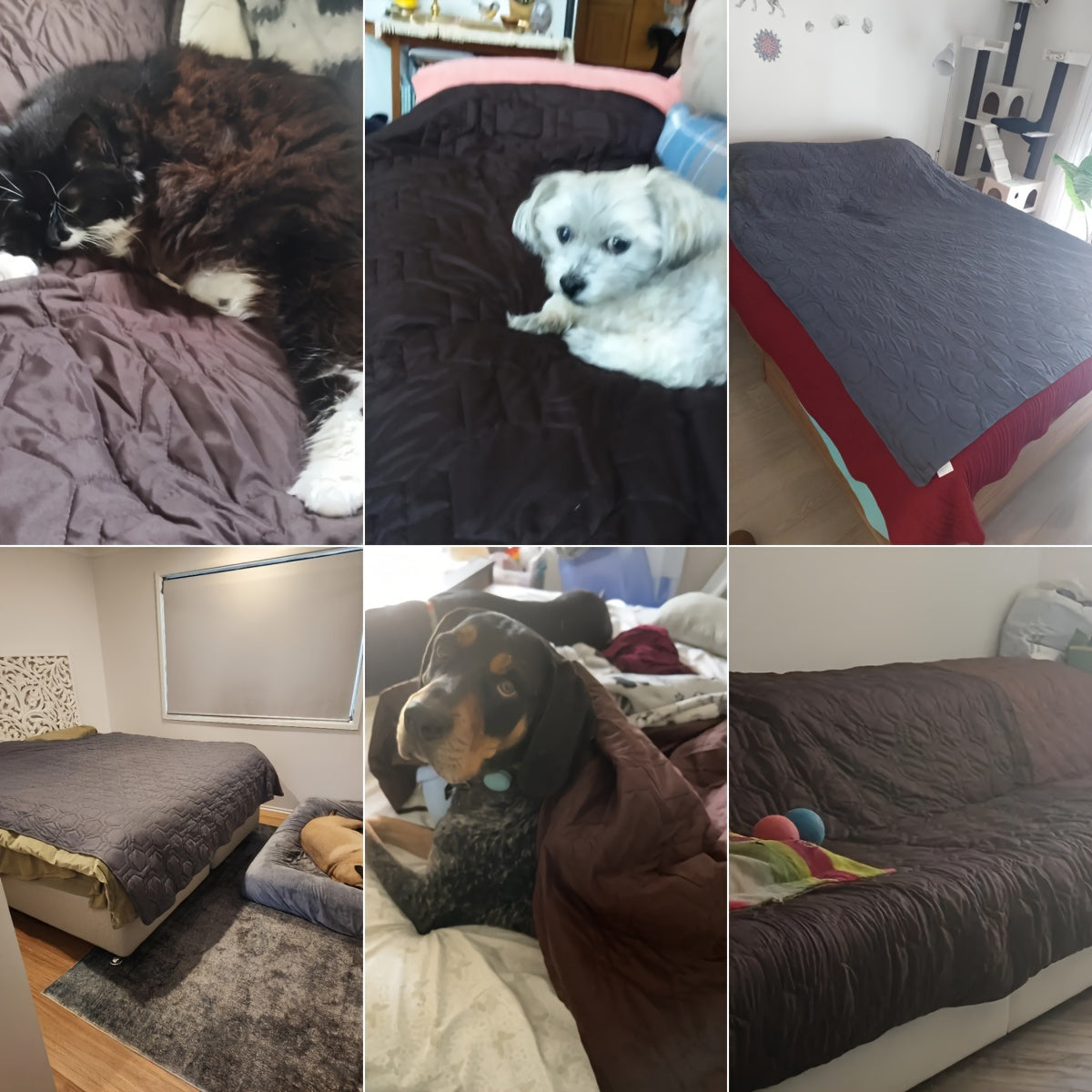 1 PC Dog Bed Cover And Pet Blanket Sofa Pet Bed Mat, Car Incontinence Mattress Protectors Furniture Couch Cover For Most Cats Dogs